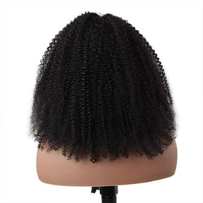best human hair wigs coily curly hair